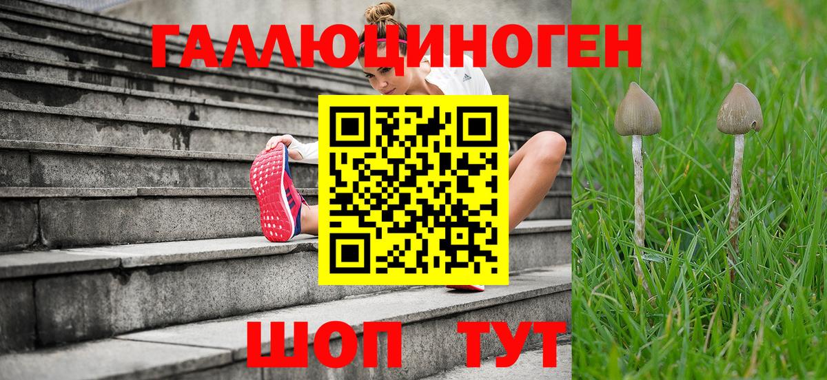 Псилоцибиновые грибы MAGIC MUSHROOMS  Галлюциногенные грибы Magic Shrooms  Вход с VPN  Щёкино 