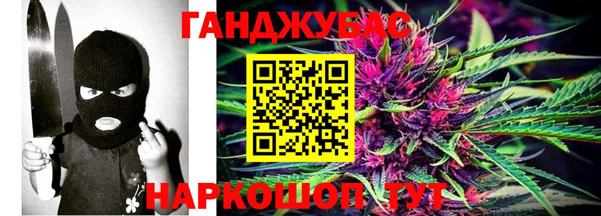 Канабис планчик Щёкино